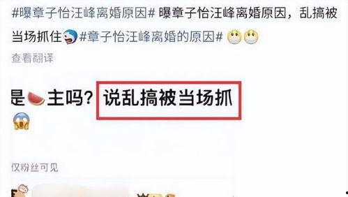 刘大锤爆料最新消息,最新热点事件内幕大揭秘！