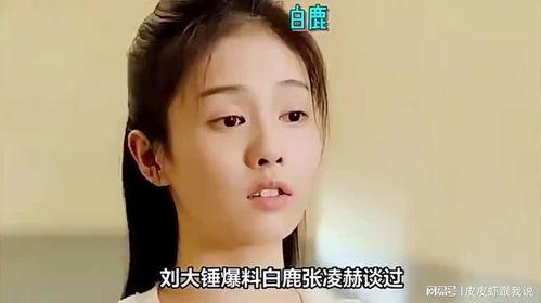 刘大锤爆料白鹿恋情视频,甜蜜互动引网友热议 第1张 刘大锤爆料白鹿恋情视频,甜蜜互动引网友热议 第1张